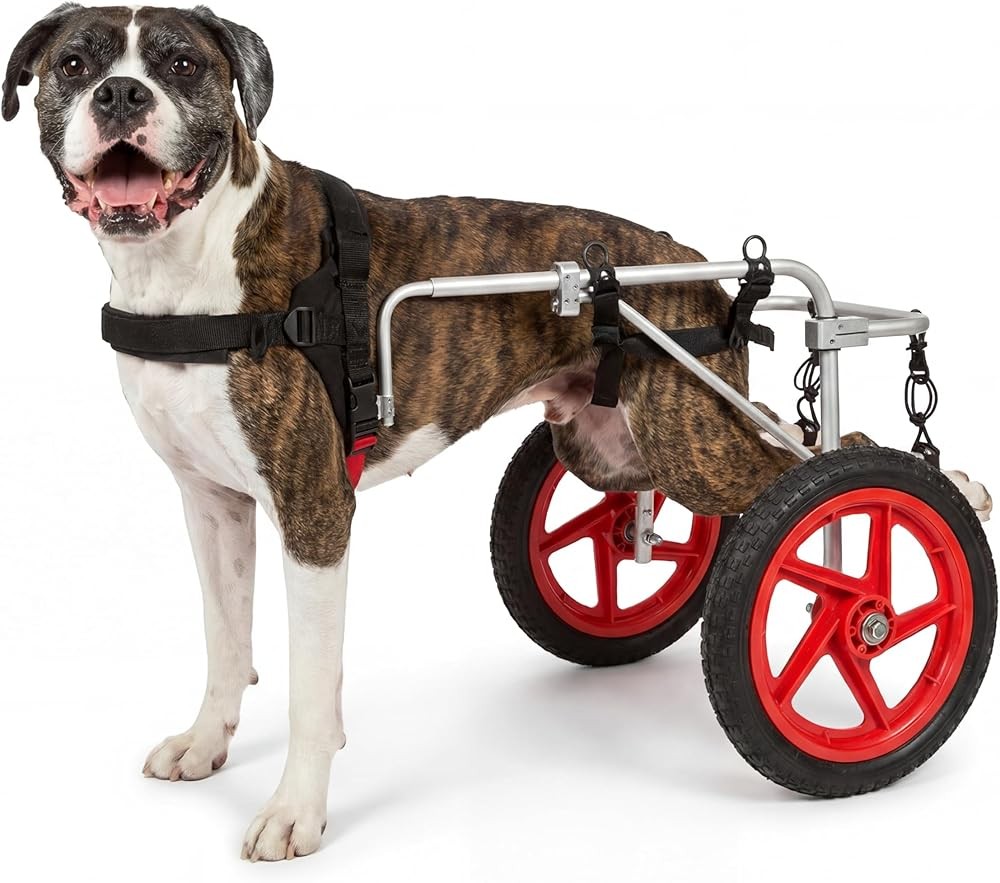 Large Back Leg Dog Wheelchair