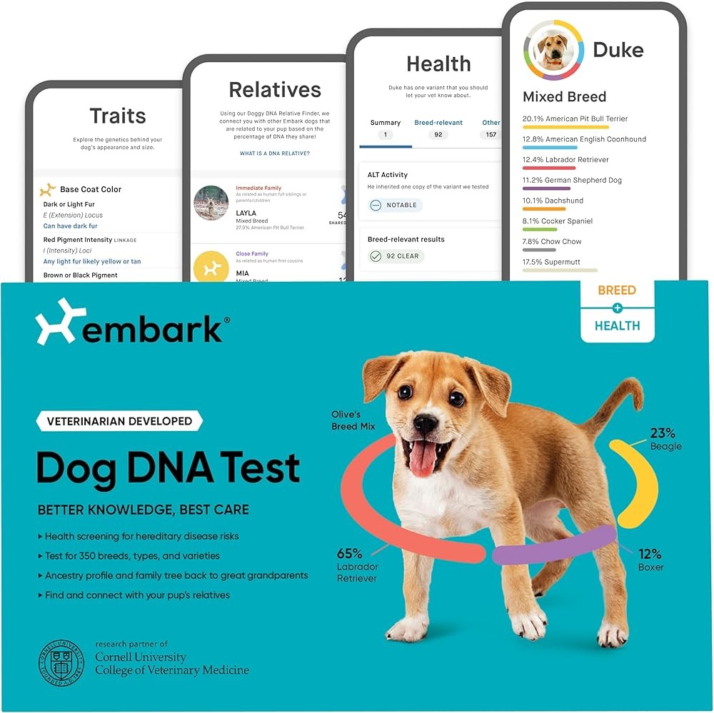 Best Dog DNA Test Kits