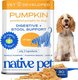 Native Pet Pumpkin for Dogs