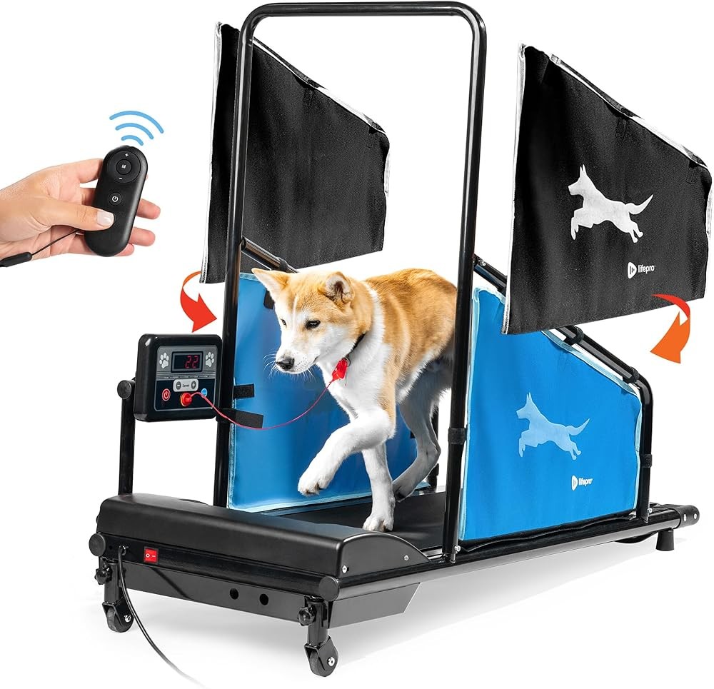 Best Dog Treadmills for Exercise and Rehabilitation