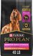 Purina Pro Plan Sensitive Skin and Stomach