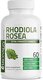 Bronson Rhodiola Rosea Vegetarian Capsules