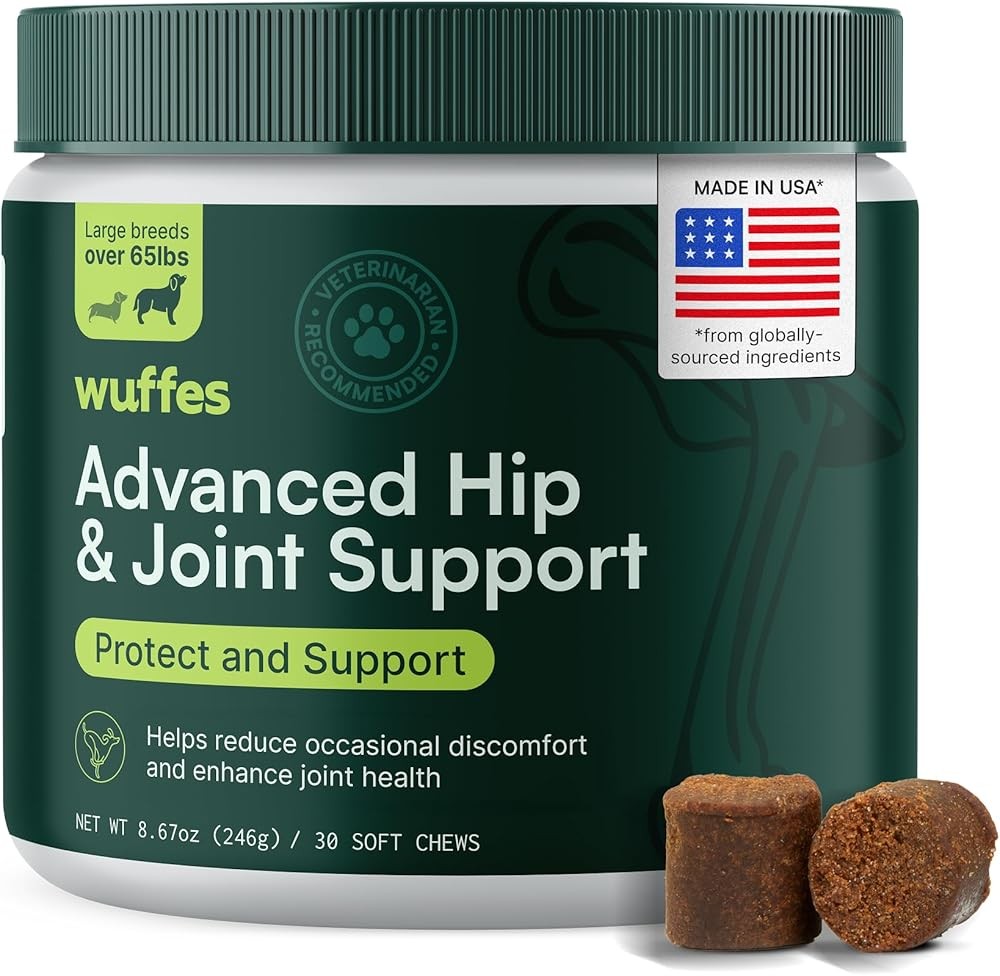 Senior Dog Supplements: Joint Health and Cognitive Support for Aging Dogs