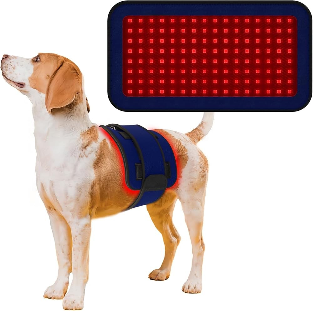 Red Infrared Light Therapy Belt for Pets