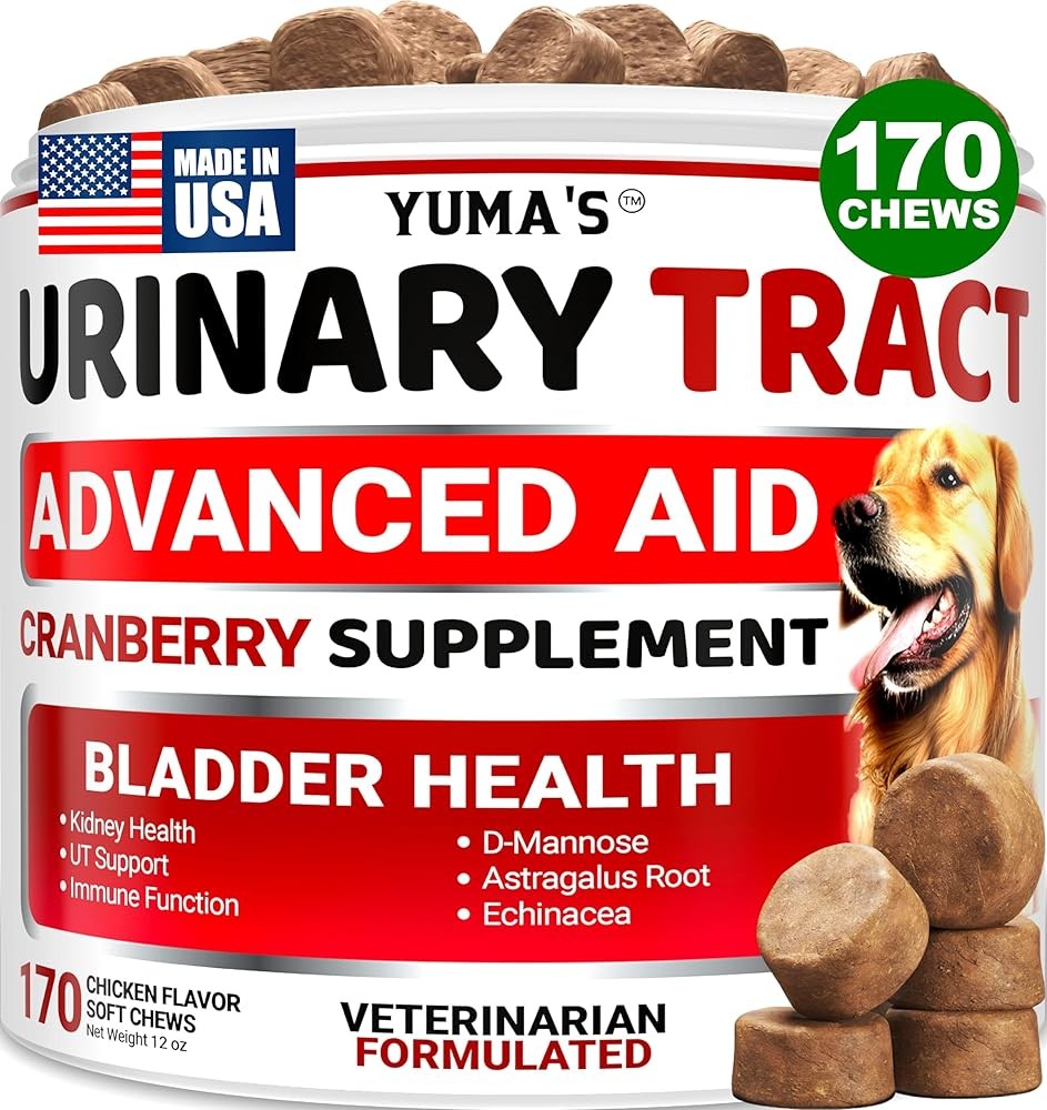 Dog UTI Chews - 170 Chews - Cranberry Supplement for Dogs - Bladder Control - Digestion & Immune Support
