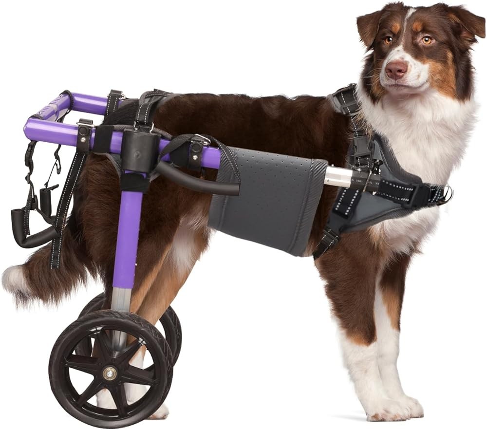 Lightweight Aluminum Dog Wheelchair