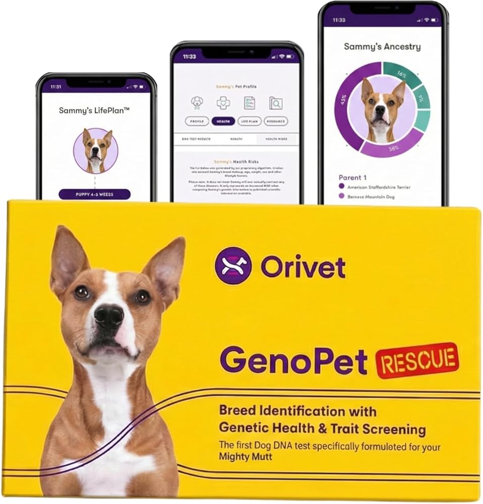 ORIVET Dog DNA Test Kit