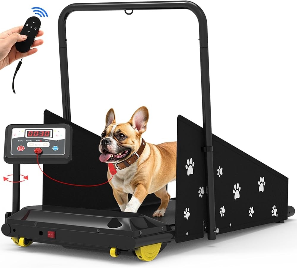 CIIHI Dog Treadmill 265lbs
