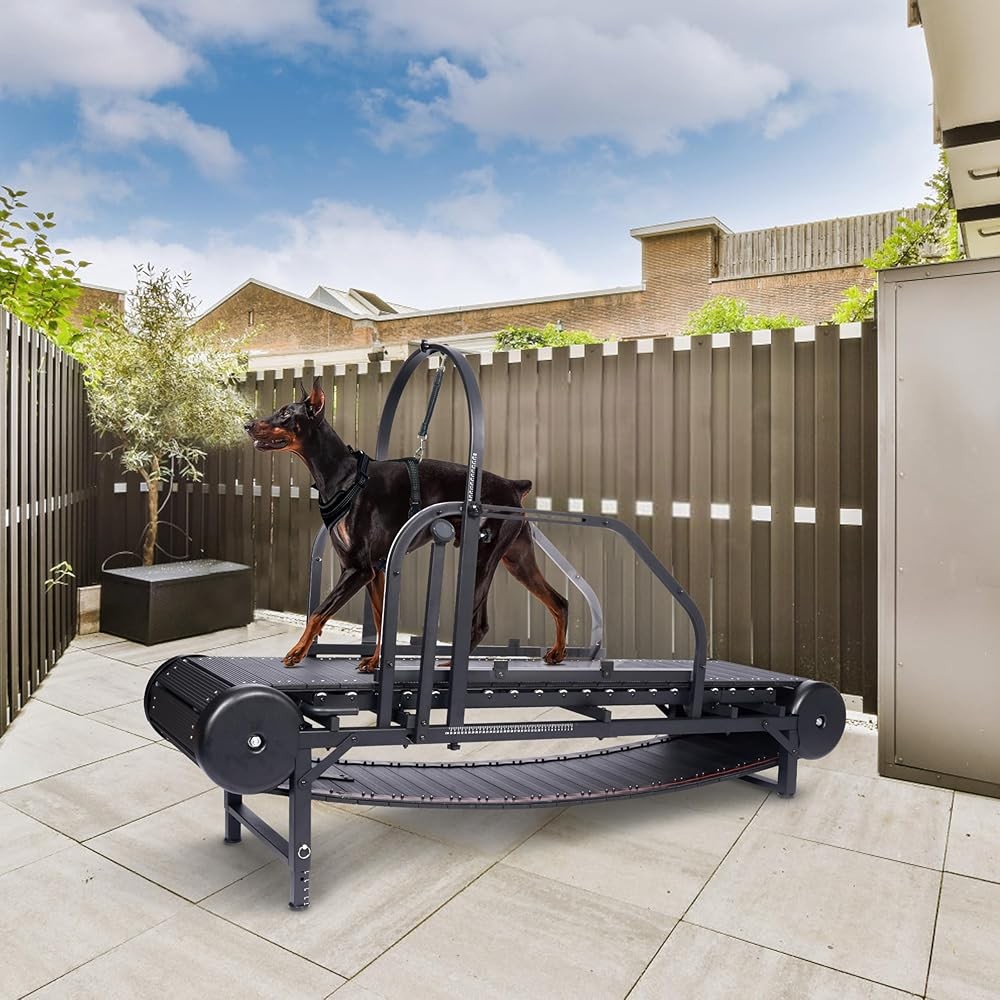 Dog Treadmill Slatmill Premium