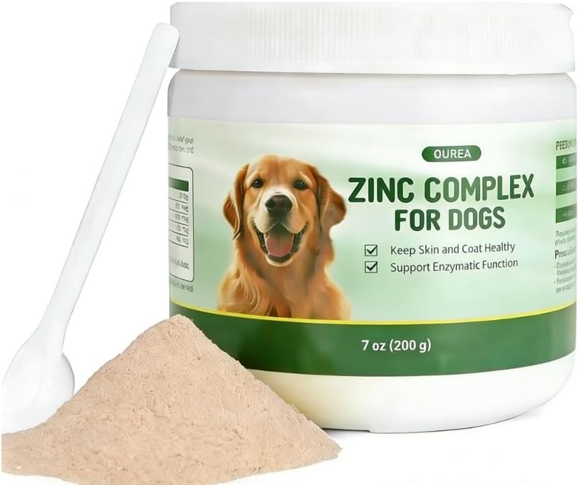 Juicing for Dogs After Surgery: Supporting Recovery, Healing, and Immune Function