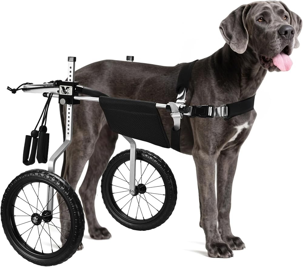 All-Terrain Dog Wheelchair