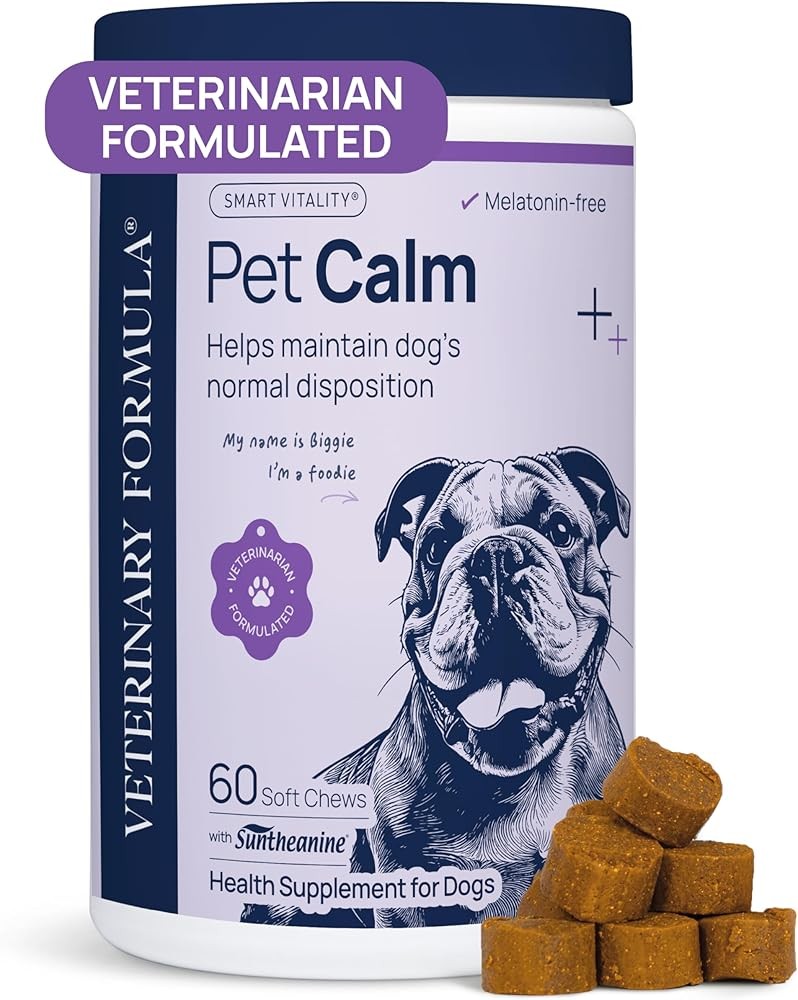 Best Calming Supplements for Dogs with Separation Anxiety