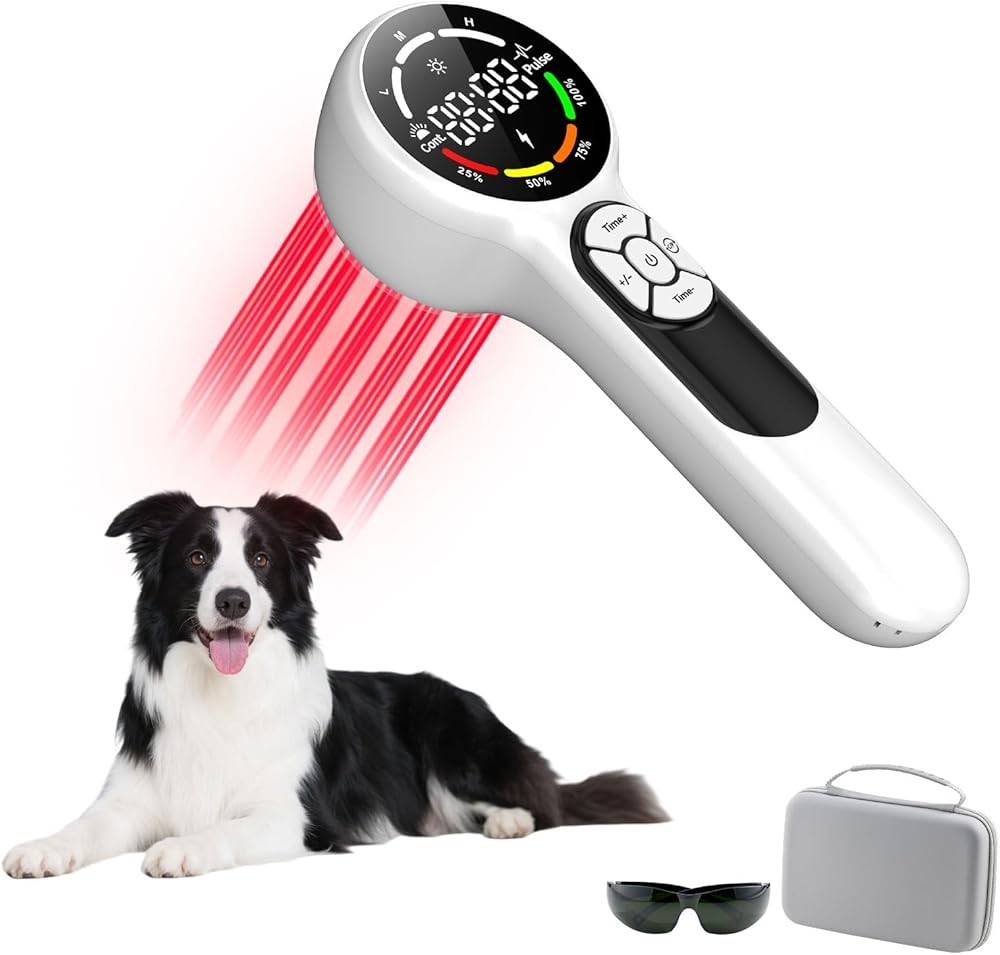Best Cold Laser Therapy Device for Dogs
