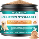 Dog Probiotics for Immune Support
