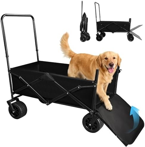 Best Dog Strollers for Senior and Disabled Dogs